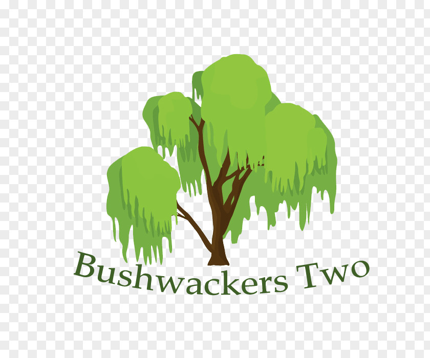 Agriculture Business Tree Bushwackers Two Conifer Cone PNG