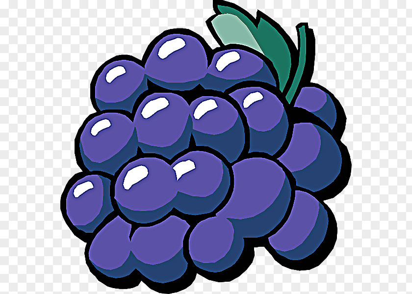 Berry Plant Grape Purple Grapevine Family Violet Fruit PNG
