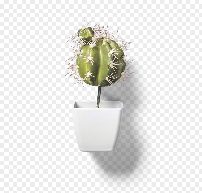 Cactus Vase Cactaceae Flowerpot Clip Art PNG