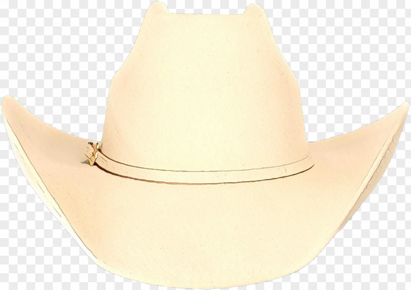 Fedora Costume Accessory Cowboy Hat PNG