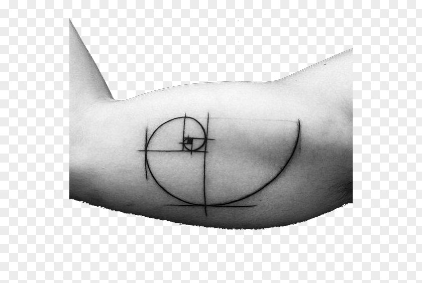 Geometry Arm Tattoo Golden Ratio Spiral Mathematics PNG