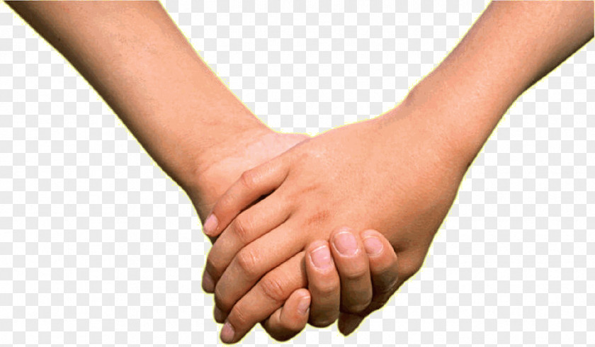 Hands Hand Image Holding Clip Art PNG