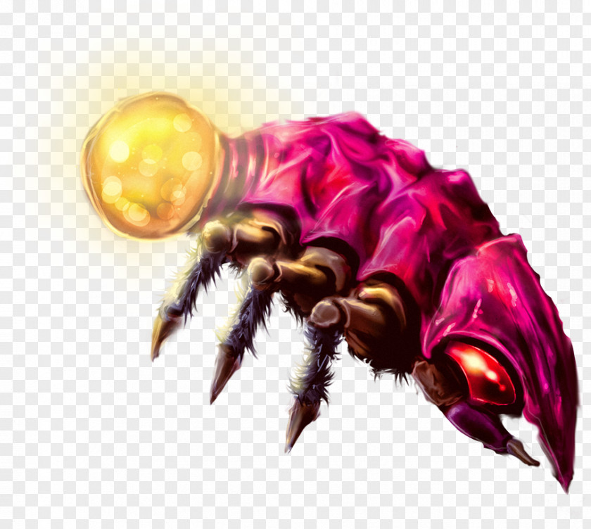 Insect Magenta Pollinator PNG