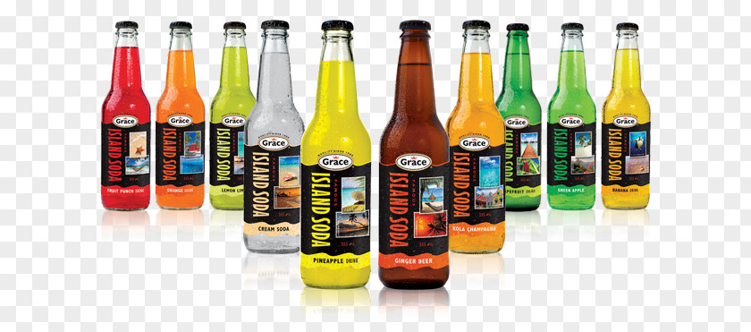 Island Drinks Fizzy Carbonated Water Ginger Beer Caribbean Cuisine PNG