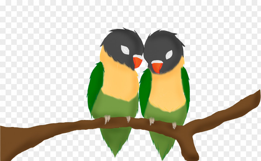 Lovebird Adaptation PNG