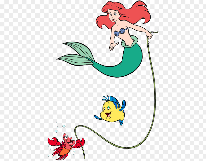Mermaid Ariel Clip Art Belle Illustration PNG