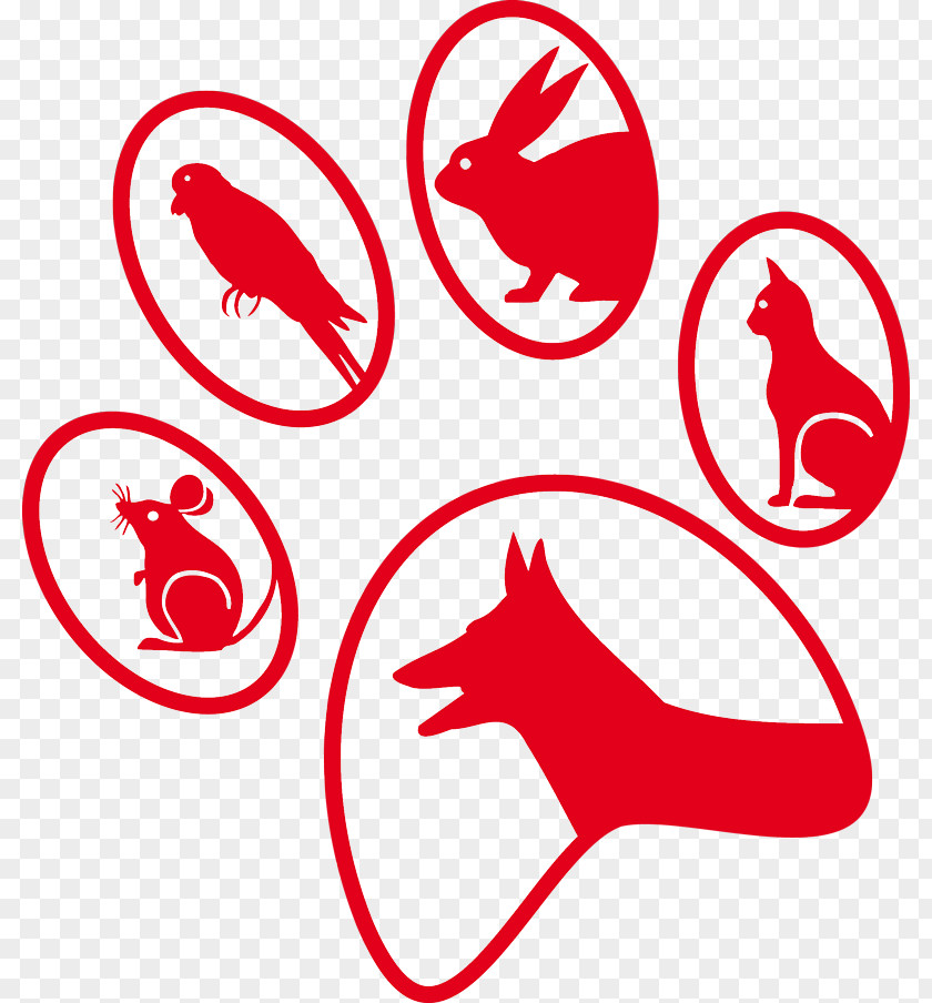 Cat Veterinarian Dog Kleintierpraxis Pet PNG