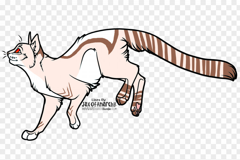Cat Whiskers Wildcat Red Fox Line Art PNG