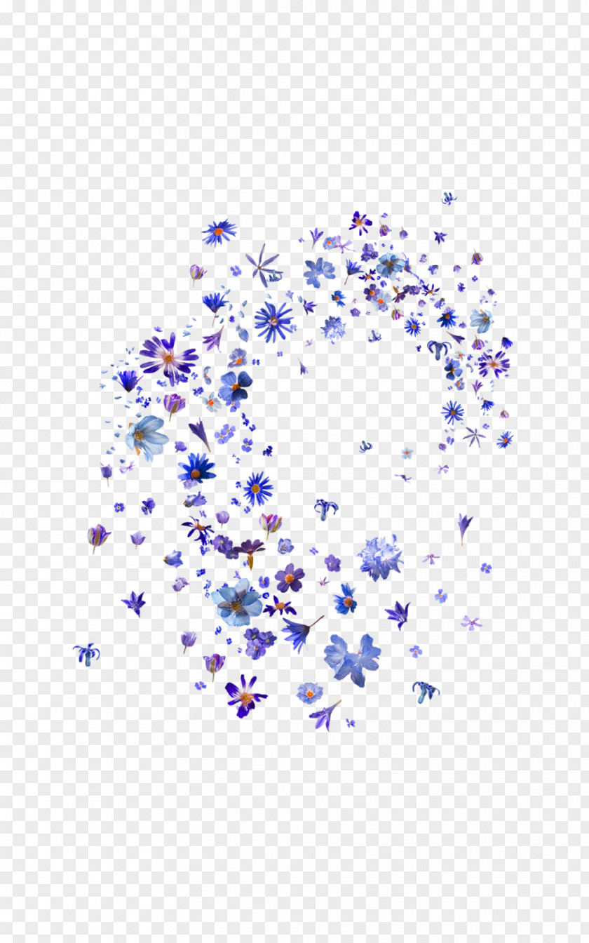 Floating Flower Petal Editing Eye PNG