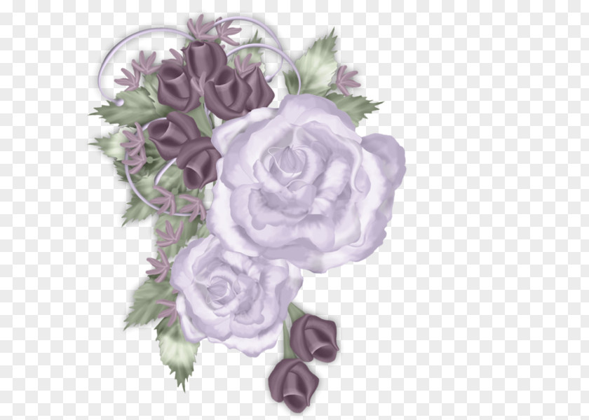 Flower Cabbage Rose Garden Roses Floral Design Cut Flowers PNG