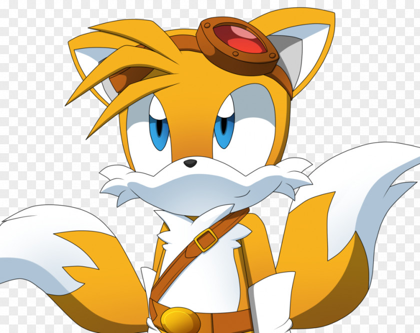 Fox Tails Amy Rose Sonic Chaos Metal The Hedgehog PNG