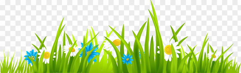 Grass Clip Art PNG