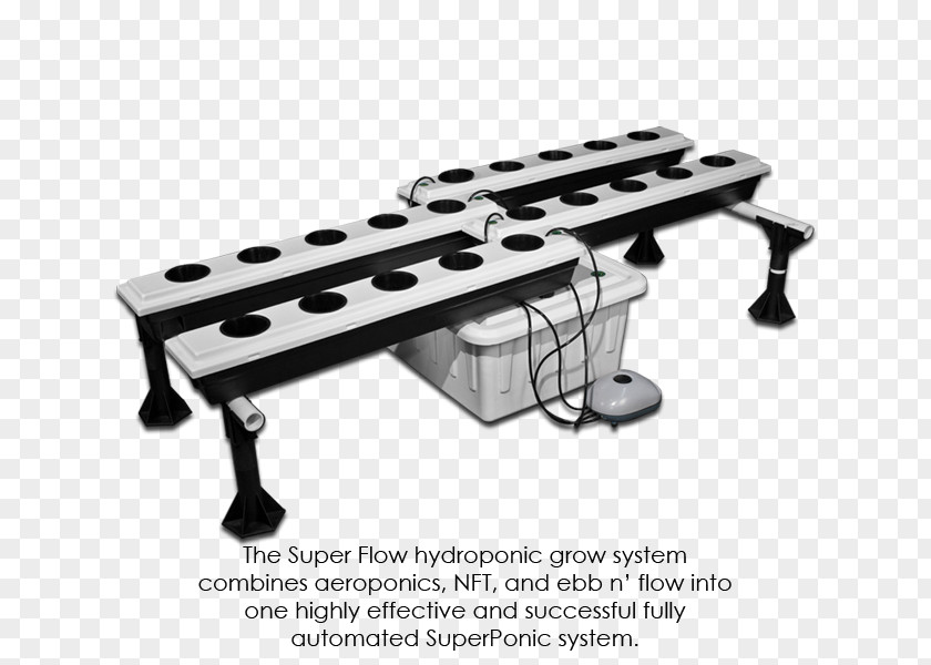 Hydroponics Ebb And Flow Growroom Green Wall Aeroponics PNG