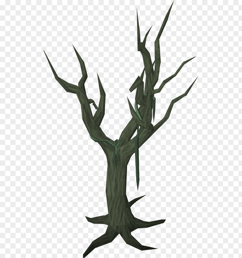 Swamp RuneScape Tree Bald Cypress PNG