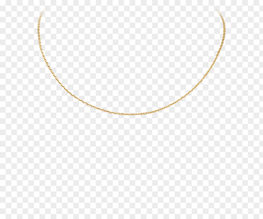 Jewellery Rope Chain Necklace PNG