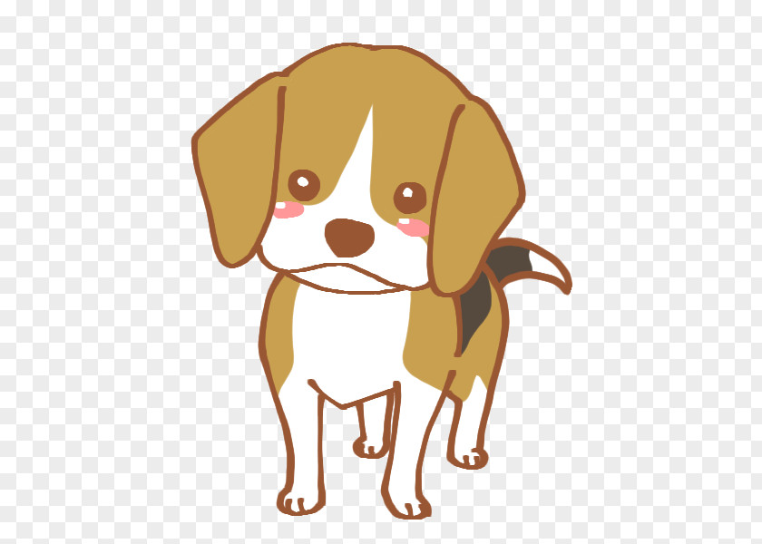 Puppy Dog Breed Beagle Companion Dachshund PNG