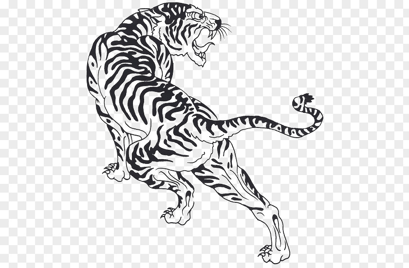 Tiger Tattoos Picture Cat Felidae Black And White Line Art PNG