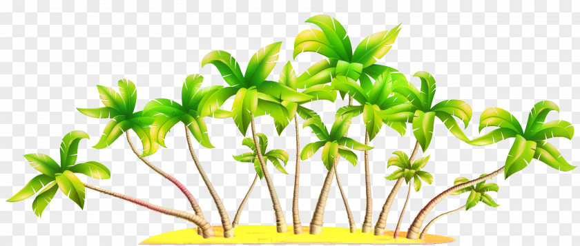 Clip Art Vector Graphics Palm Trees Transparency PNG