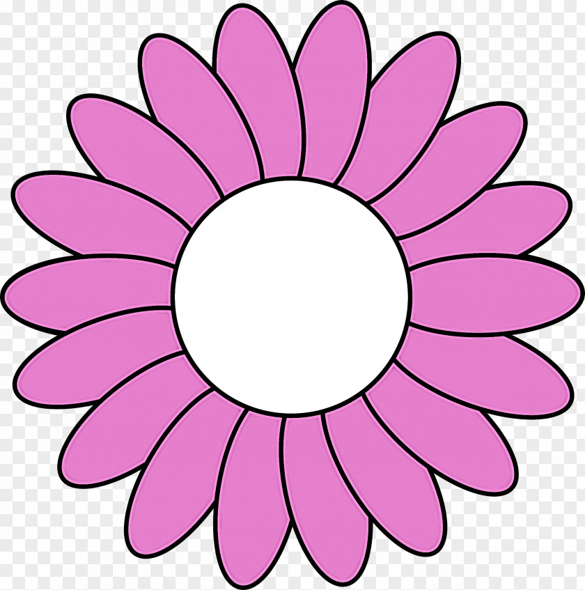 Daisy Family Magenta Pink Petal Clip Art Flower Plant PNG
