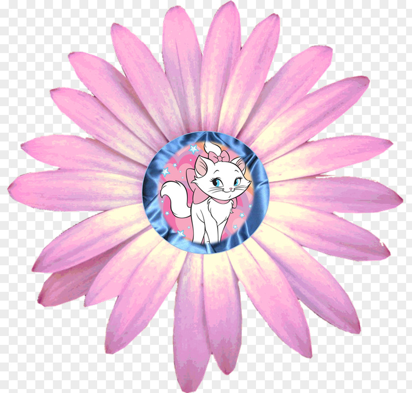 Flower Transvaal Daisy Common Clip Art PNG