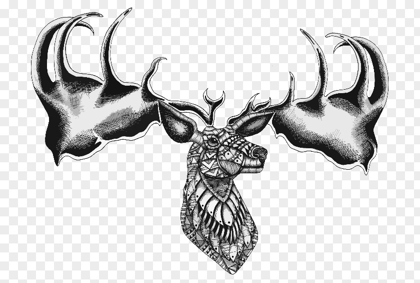 Reindeer Cattle Horn Antler Font PNG