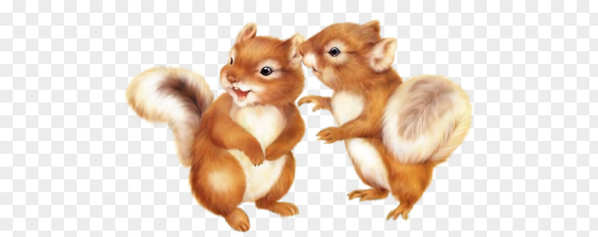 Two Little Squirrels PNG little squirrels clipart PNG