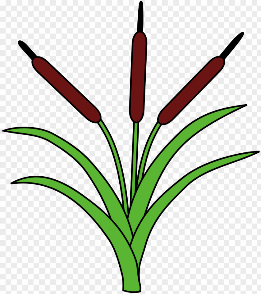 Bulrush Figura Heraldry Drawing Clip Art PNG