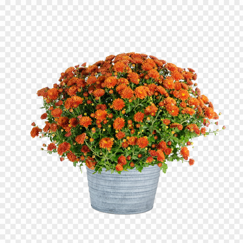 Flower Cut Flowers Flowerpot Artificial Chrysanthemum PNG