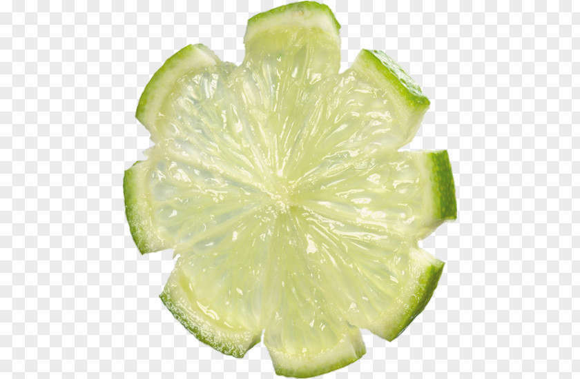 Lime Fruit Key Lemon-lime Drink Persian PNG