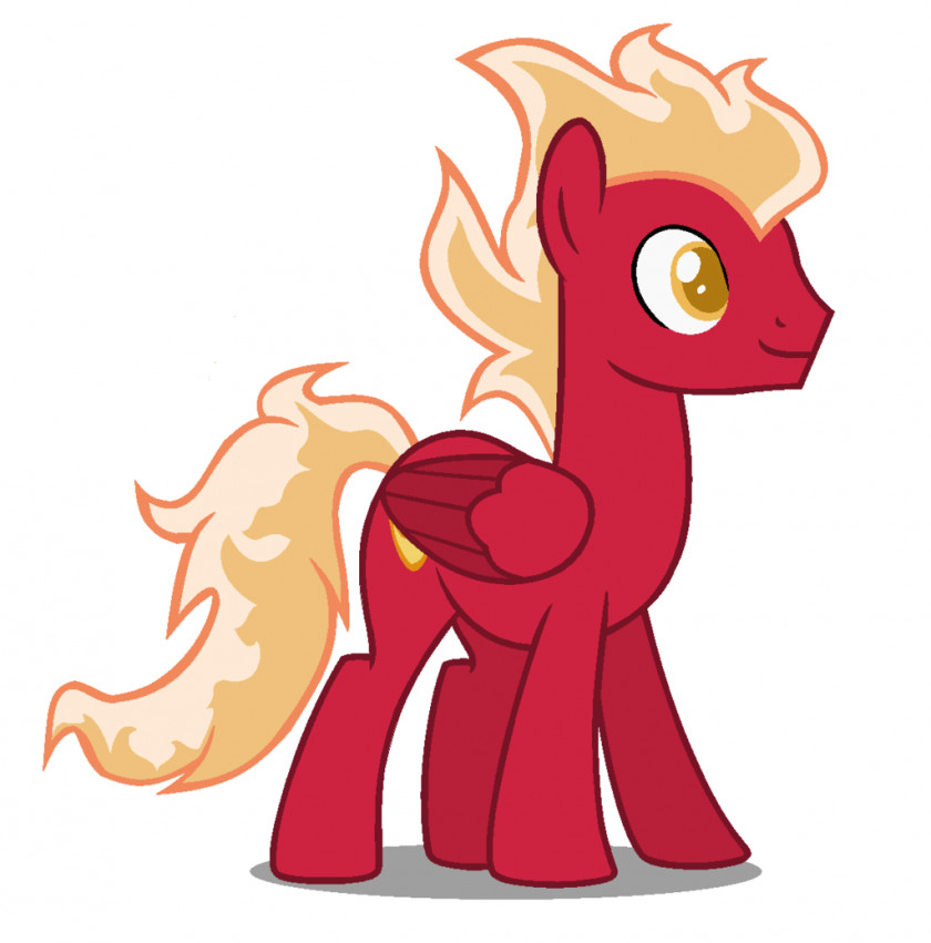 Pegasus Pinkie Pie Rainbow Dash Rarity Pony Stallion PNG