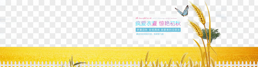 Stunning Autumn Wheat Butterfly Poster Layout Graphic Design Brand Yellow Wallpaper PNG