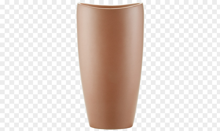 Vase Cup PNG
