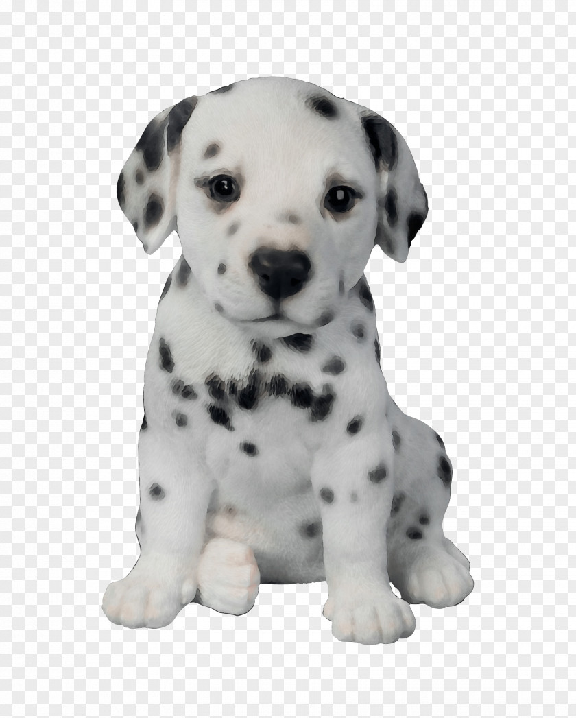 Animal Figure Companion Dog And Cat PNG