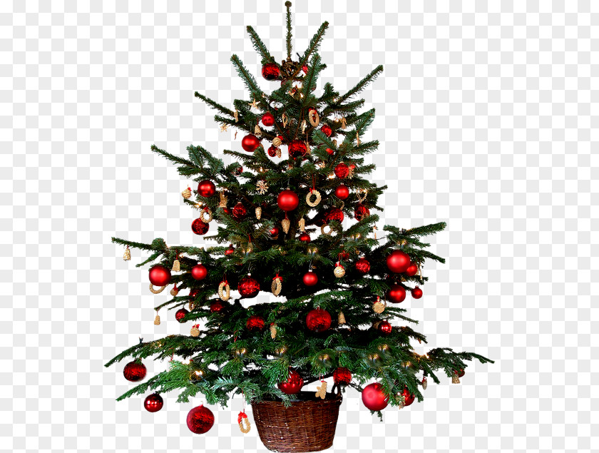 Christmas Tree Decoration Animation PNG