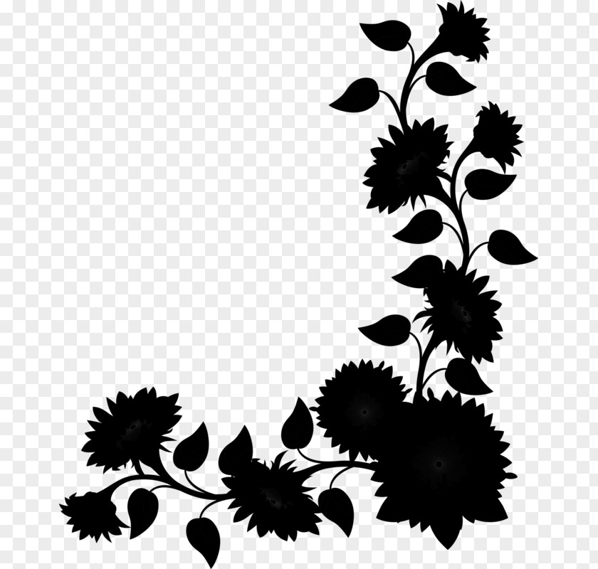Chrysanthemum Floral Design Leaf Pattern PNG