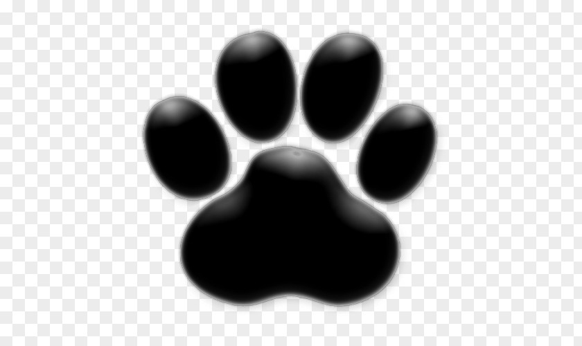 Dog Paw Print Template Grooming Pet Sitting Cat PNG