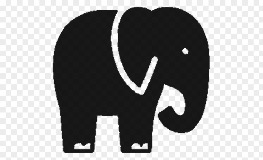 Elephant African White PNG