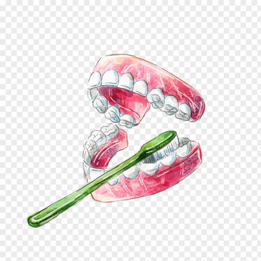 Hand Painted Teeth To Brush Your Tooth Brushing Gums Dental Calculus Gingivitis PNG