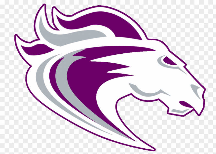 Lacrosse Ridge View High School Columbia National Secondary PNG