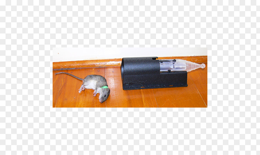 Mouse Trap Mousetrap Rat Trapping PNG