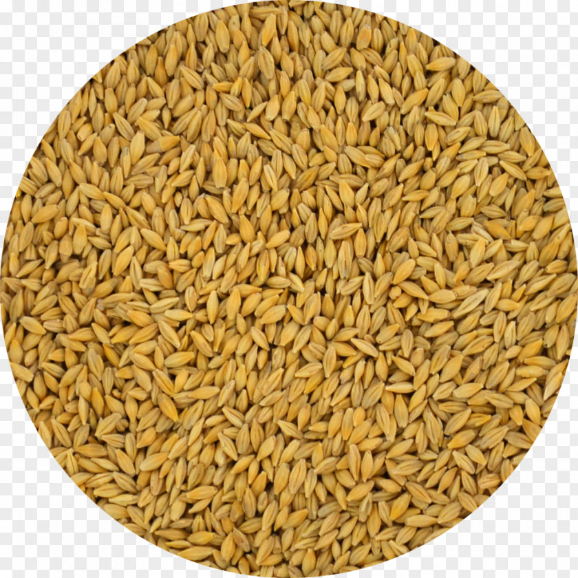 Barley Oat Cereal Whole Grain Spelt PNG