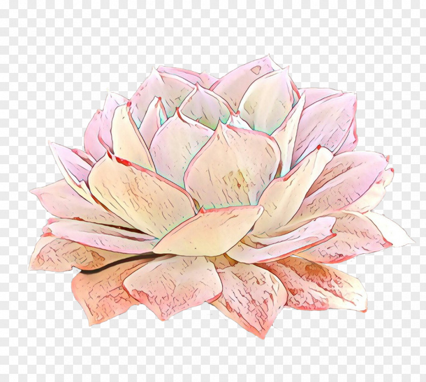 Floral Design Rose Cut Flowers Petal PNG