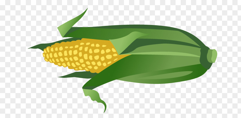 Hand-painted Cartoon Corn Maize PNG