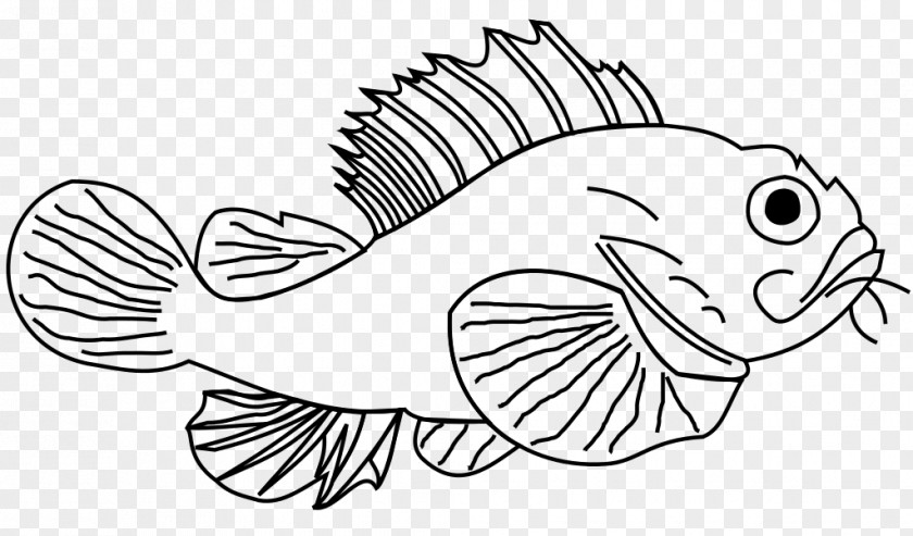 Lionfish Drawing Line Art Cartoon Fauna Clip PNG