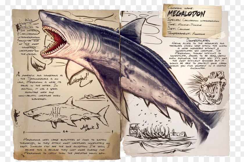 Shark ARK: Survival Evolved Megalodon Parasaurolophus Pteranodon PNG