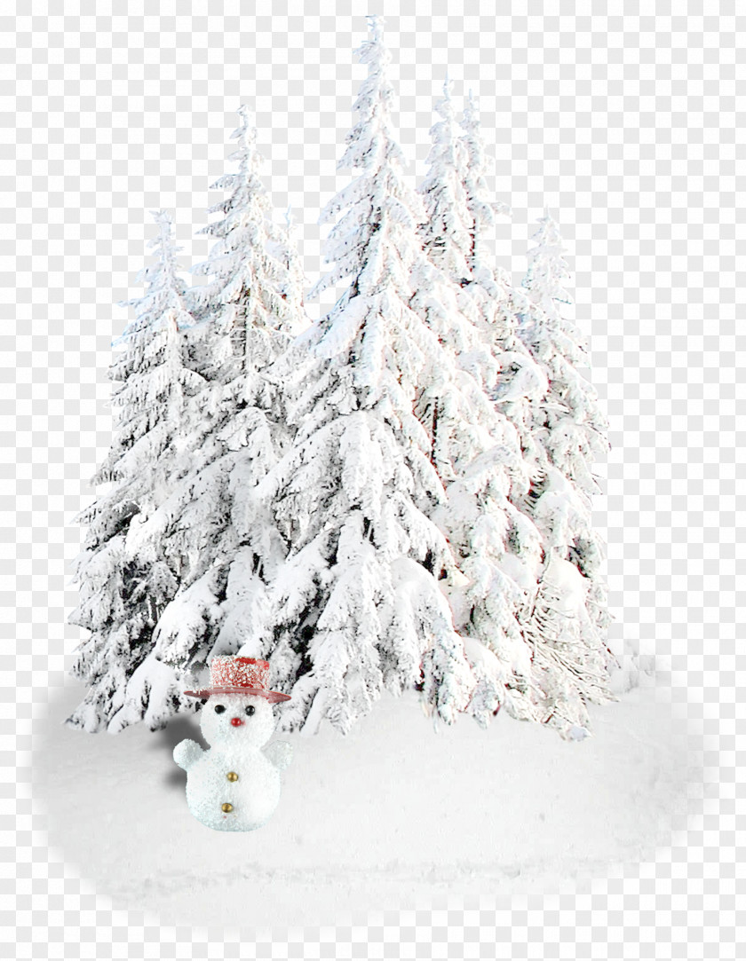 Snow New Year Christmas Holiday Snegurochka Ded Moroz PNG
