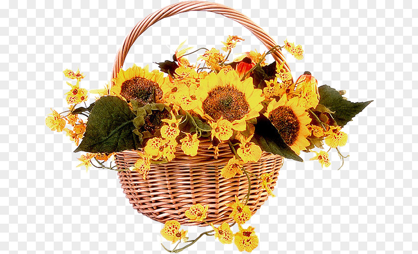 Sunflower Orkut Happiness Friendship Sunday Google+ PNG