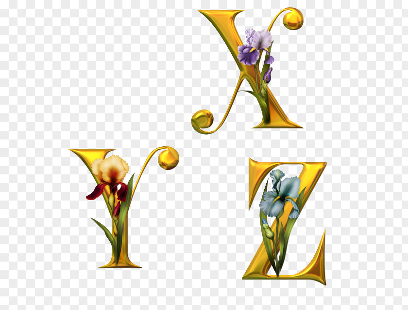 Flower Fancy Alphabets Letter English Alphabet PNG