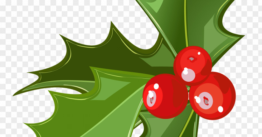 Mistletoe Candy Cane Christmas Phoradendron Tomentosum Clip Art PNG
