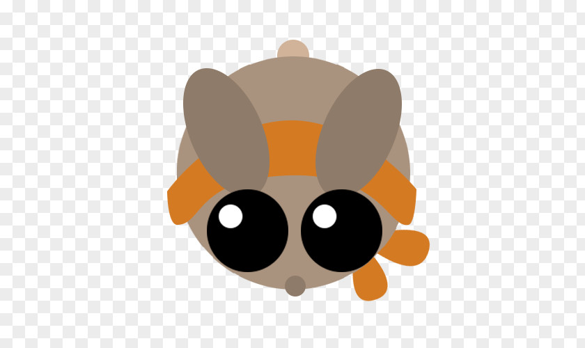 Rabbit Hare Mouse Gray Wolf PNG